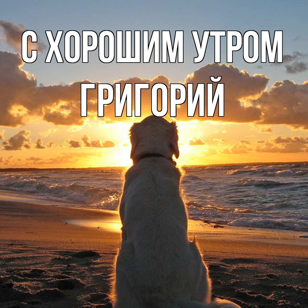 Открытка на каждый день с именем, Григорий С хорошим утром восход солнца Прикольная открытка с пожеланием онлайн скачать бесплатно 
