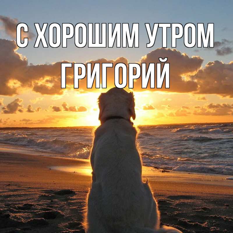 Картинка С хорошим утром, Григорий