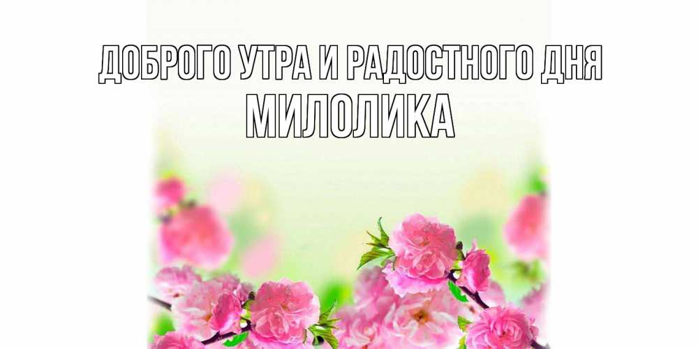 Открытка на каждый день с именем, Милолика Доброго утра и радостного дня цветы Прикольная открытка с пожеланием онлайн скачать бесплатно 