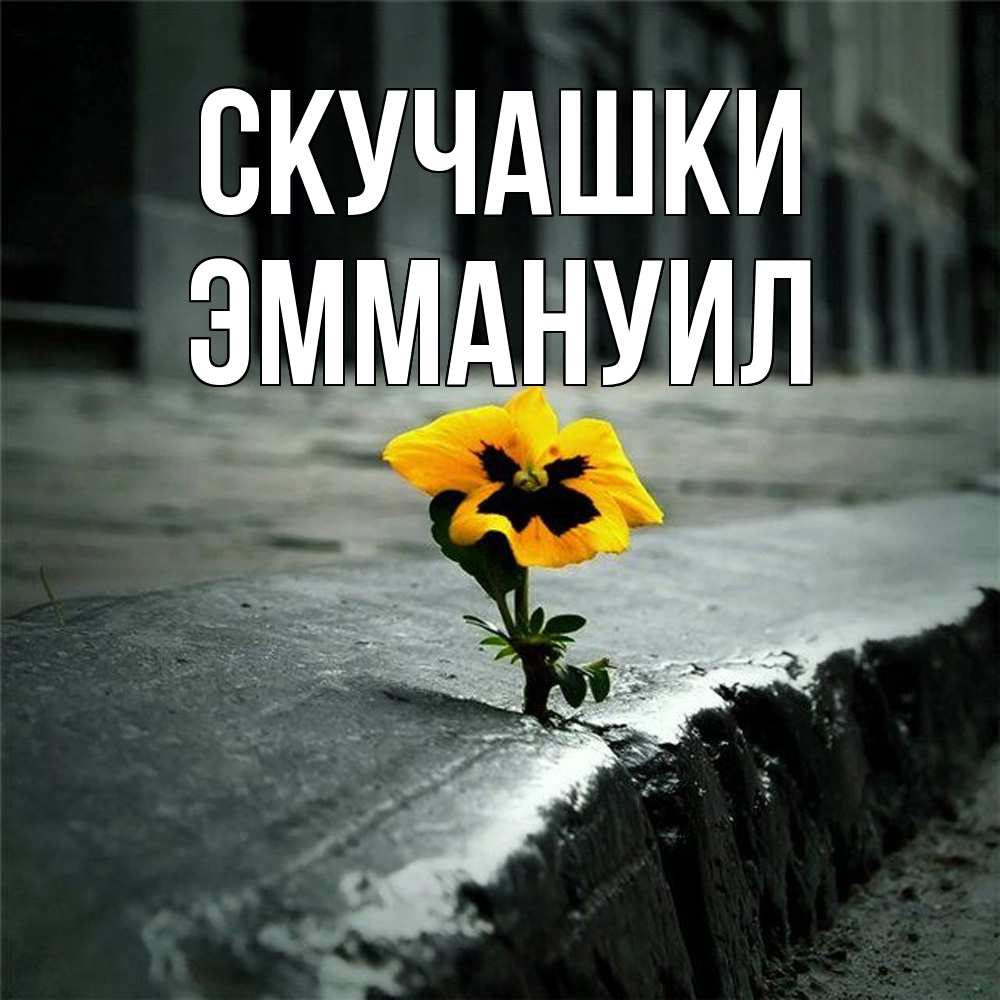 Открытка на каждый день с именем, Эммануил Скучашки надеюсь будет лучше Прикольная открытка с пожеланием онлайн скачать бесплатно 