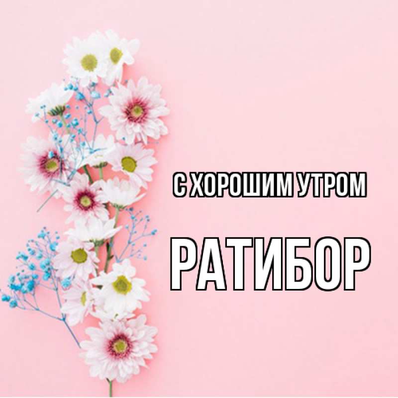 Картинка С хорошим утром, Ратибор