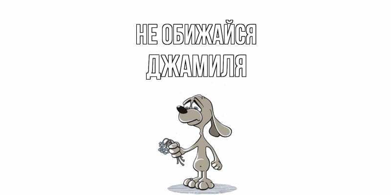 Картинка Не обижайся, Джамиля