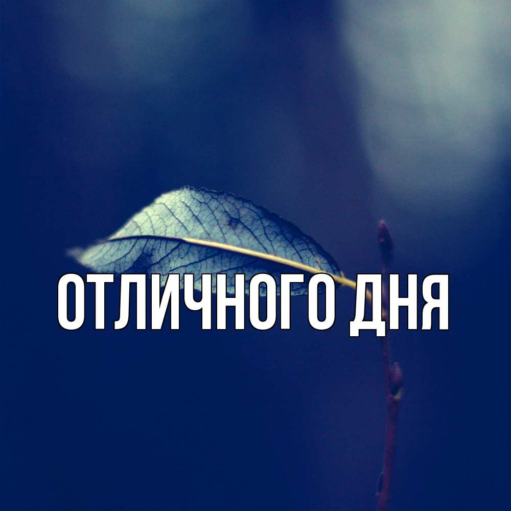 Открытка на каждый день с именем, Леся Скучашки одна ветка 1 Прикольная открытка с пожеланием онлайн скачать бесплатно 