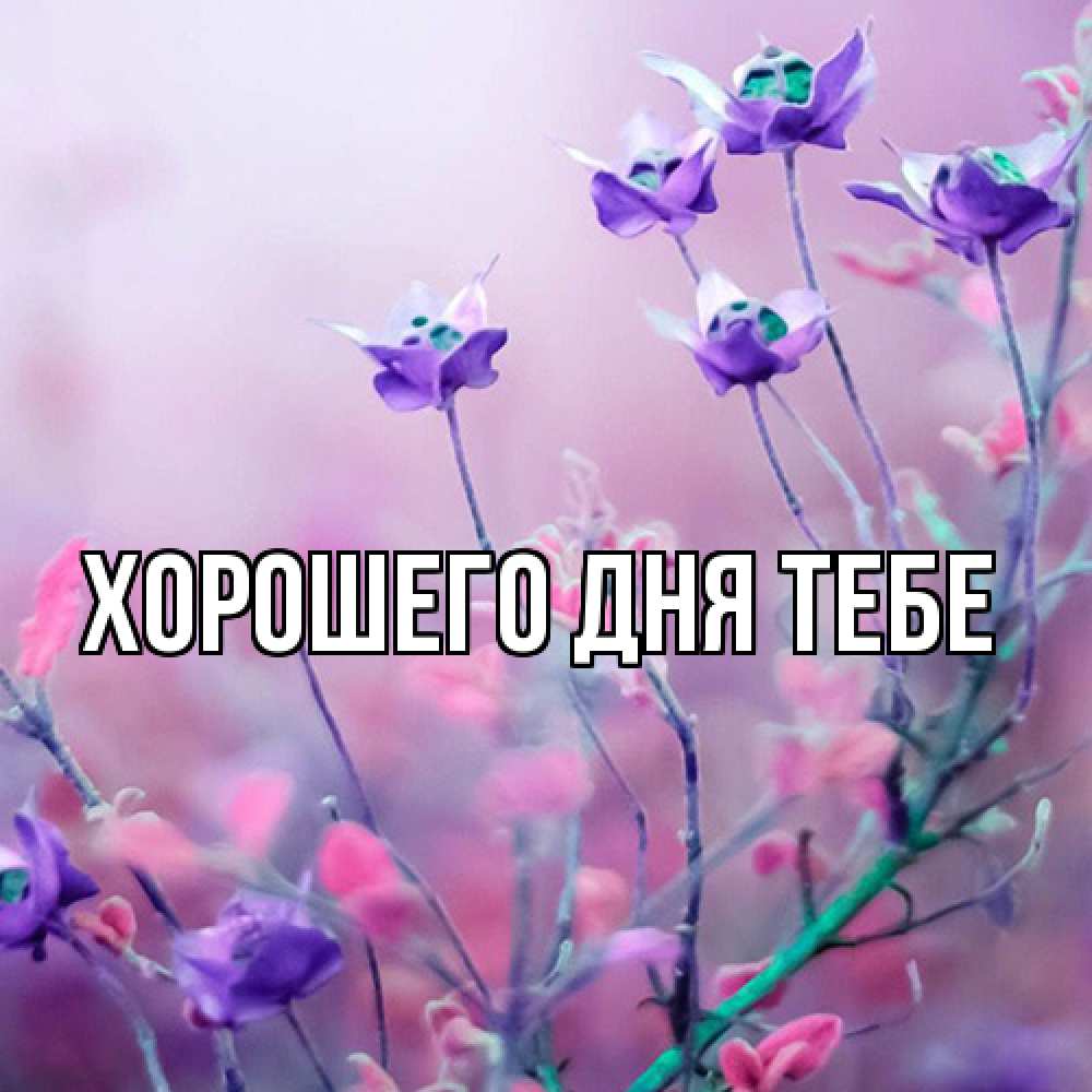 Открытка на каждый день с именем, Измаил Люблю тебя международный женский день 2 Прикольная открытка с пожеланием онлайн скачать бесплатно 