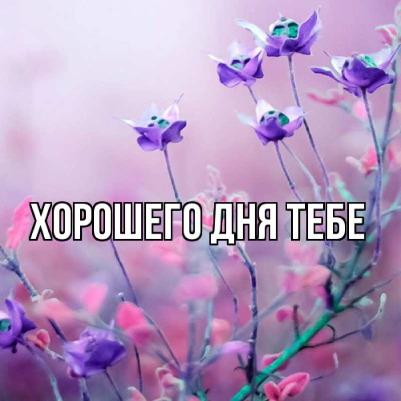 Картинка Люблю тебя, Измаил