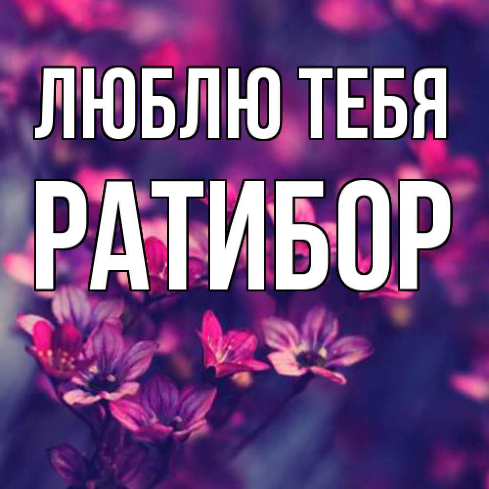 Открытка на каждый день с именем, Ратибор Люблю тебя небольшие цветы 1 Прикольная открытка с пожеланием онлайн скачать бесплатно 