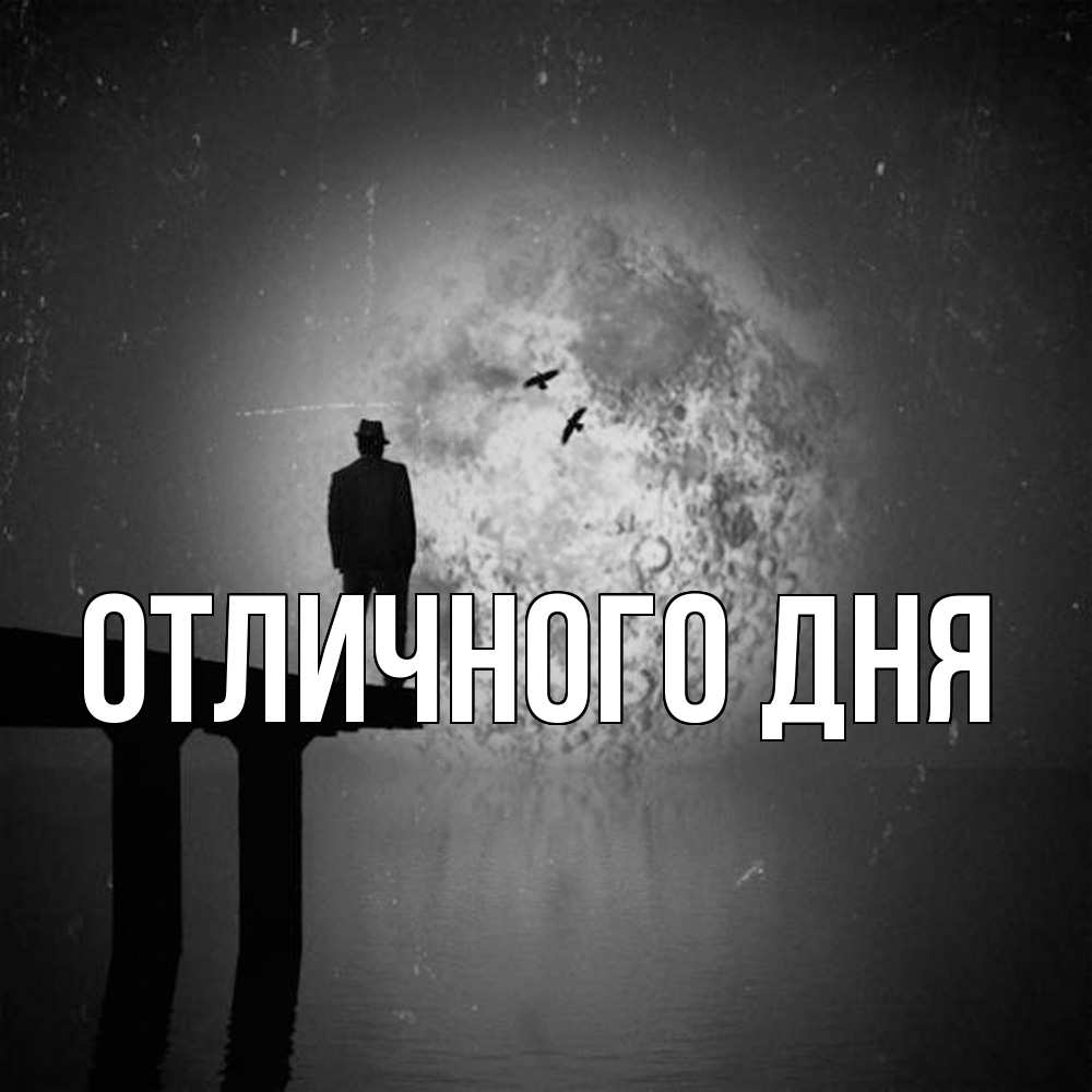 Открытка на каждый день с именем, Леся Скучашки мост 1 Прикольная открытка с пожеланием онлайн скачать бесплатно 