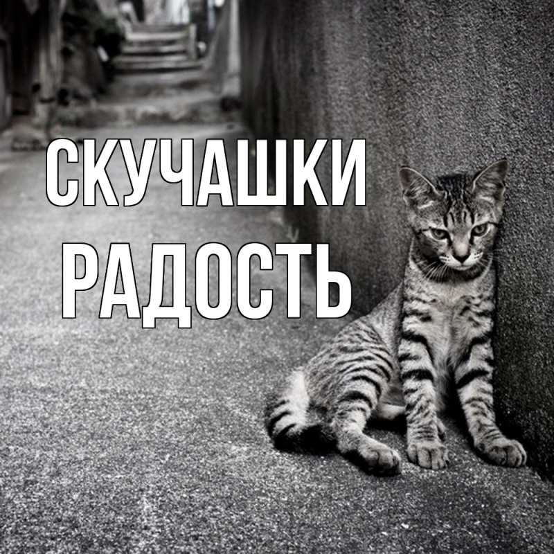 Открытка с именем, Радость, Скучашки