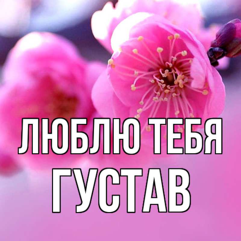 Картинка Люблю тебя, Густав