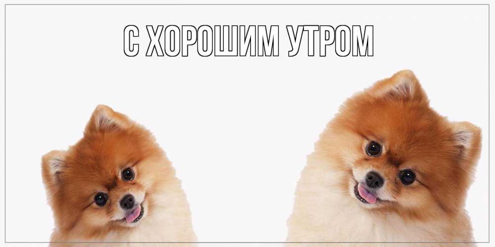 Открытка на каждый день с именем, Шерлок Как дела привет Прикольная открытка с пожеланием онлайн скачать бесплатно 