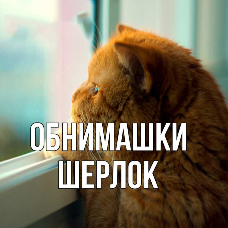 Картинка Обнимашки, Шерлок