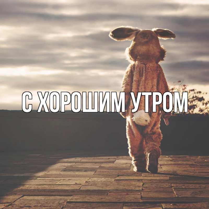 Картинка Скучашки, Катюша