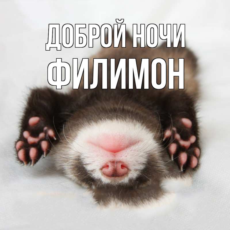 Открытка с именем, Филимон, Доброй ночи