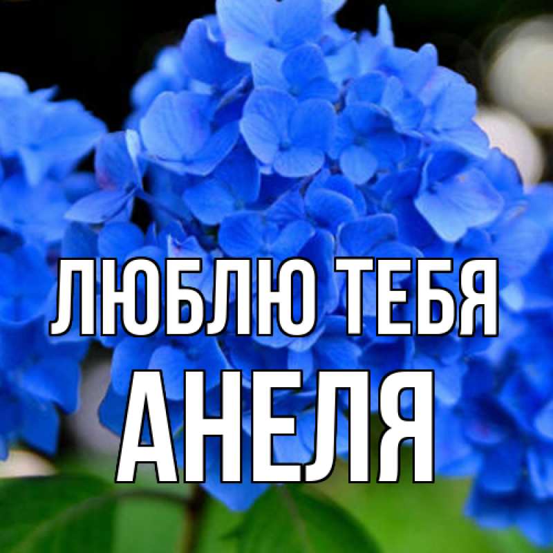 Картинка Люблю тебя, Анеля