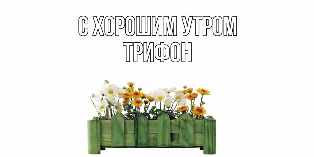 Открытка на каждый день с именем, Трифон С хорошим утром цветы Прикольная открытка с пожеланием онлайн скачать бесплатно 