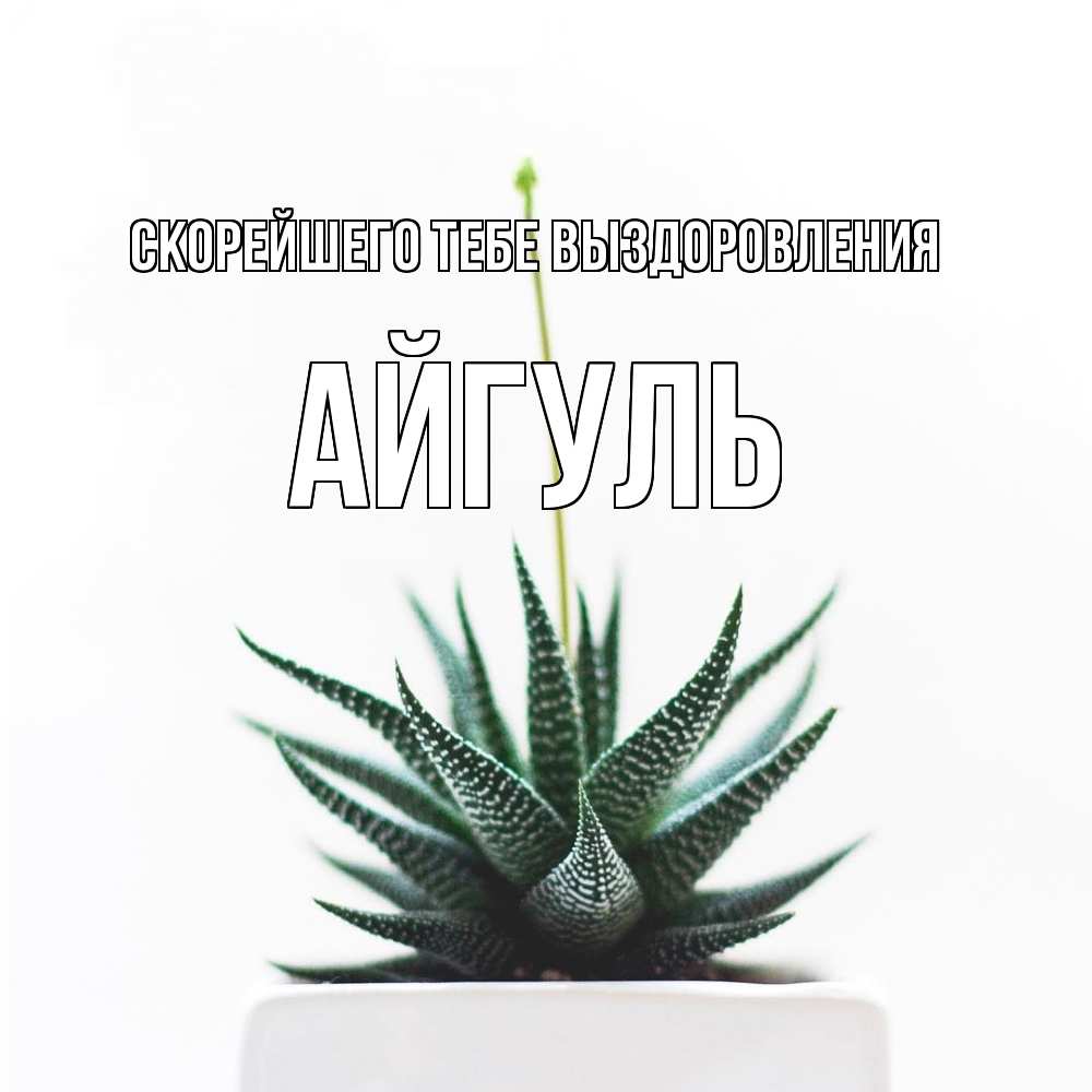 Открытка на каждый день с именем, Айгуль Скорейшего тебе выздоровления короче это непонятная колючка Прикольная открытка с пожеланием онлайн скачать бесплатно 