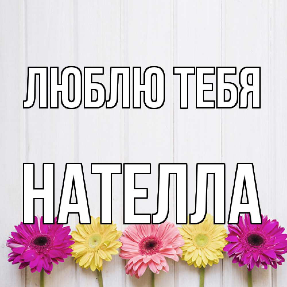 Открытка на каждый день с именем, Нателла Люблю тебя женщинам 1 Прикольная открытка с пожеланием онлайн скачать бесплатно 