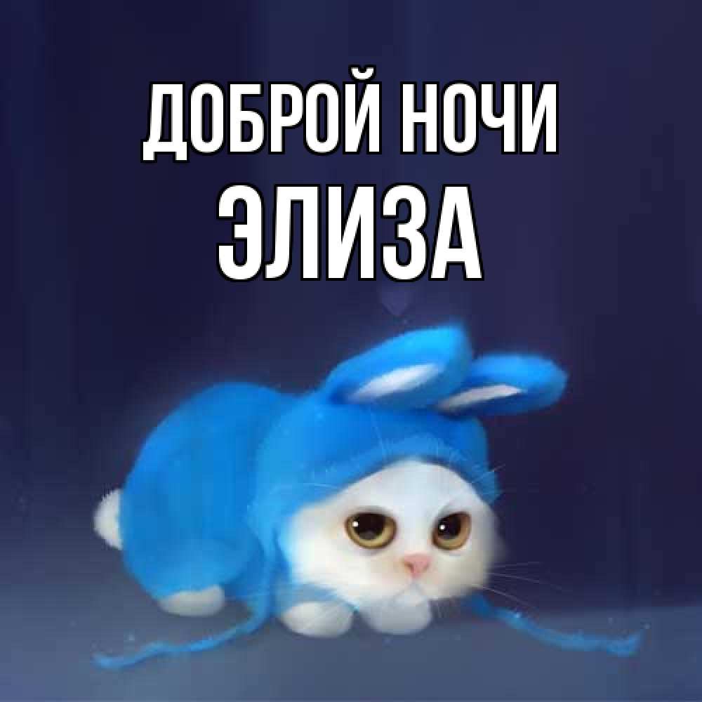 Открытка на каждый день с именем, Элиза Доброй ночи кот в голубом костюме кролика с ушками Прикольная открытка с пожеланием онлайн скачать бесплатно 