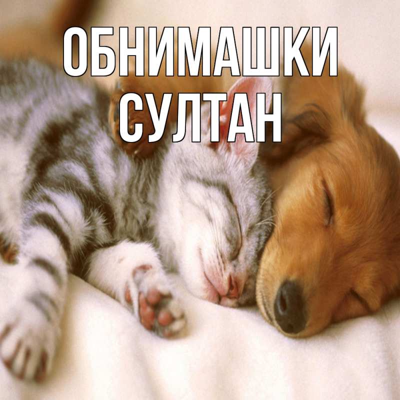 Открытка с именем, Султан, Обнимашки