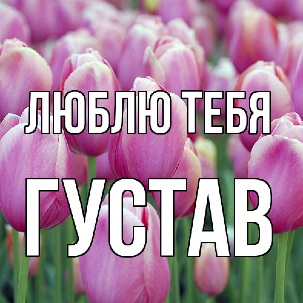 Открытка на каждый день с именем, Густав Люблю тебя на международный женский день 3 Прикольная открытка с пожеланием онлайн скачать бесплатно 