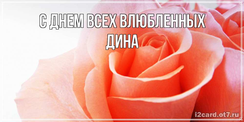 Открытка на каждый день с именем, Дина С днем всех влюбленных открытка на день Святого Валентина с розовой розой Прикольная открытка с пожеланием онлайн скачать бесплатно 