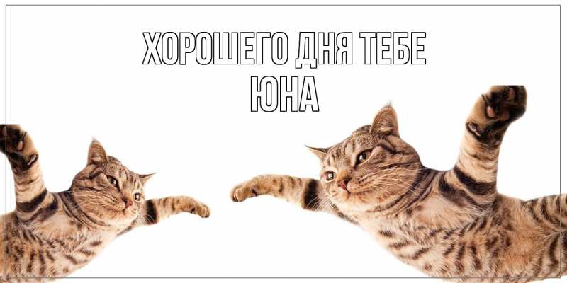 Открытка с именем, Юна, Хорошего дня тебе