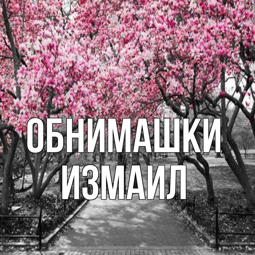 Открытка на каждый день с именем, Измаил Обнимашки обработанное фото Прикольная открытка с пожеланием онлайн скачать бесплатно 