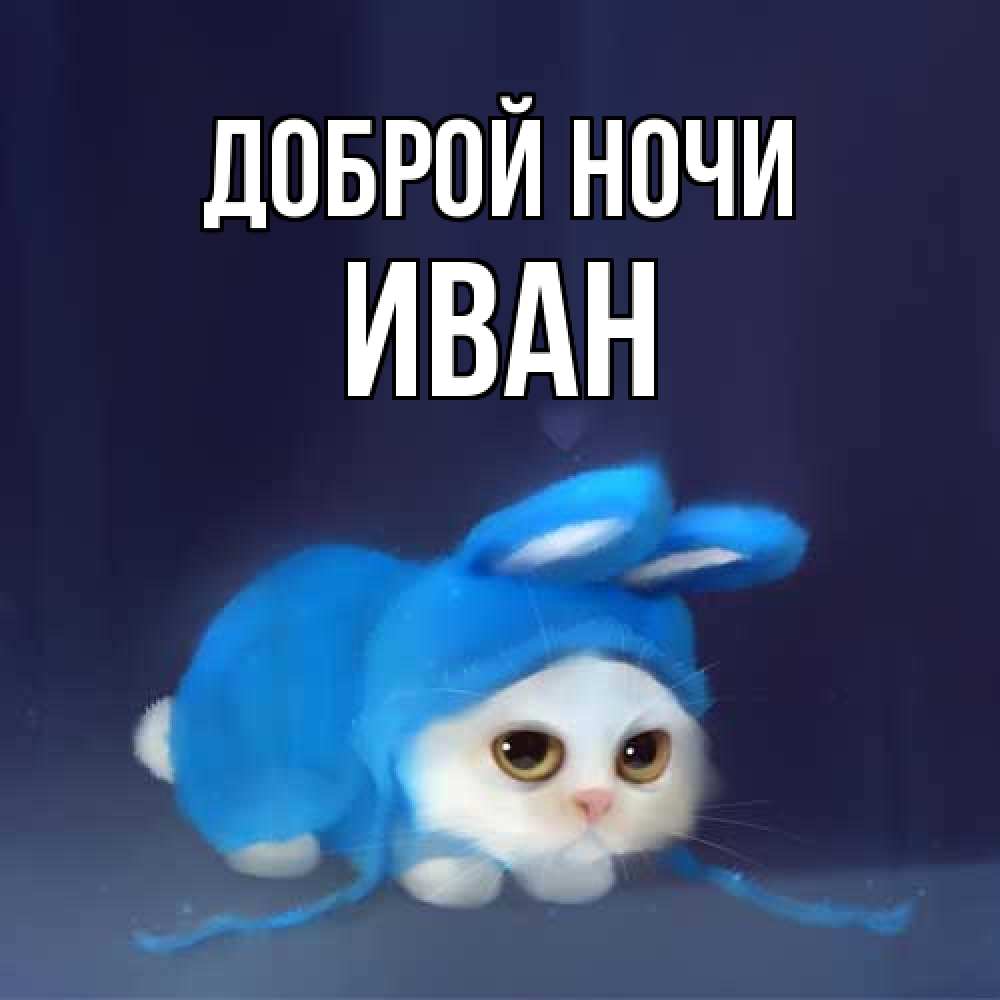 Открытка на каждый день с именем, Иван Доброй ночи кот в голубом костюме кролика с ушками Прикольная открытка с пожеланием онлайн скачать бесплатно 