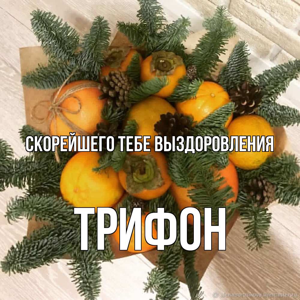 Открытка на каждый день с именем, Трифон Скорейшего тебе выздоровления апельсины и хурьма Прикольная открытка с пожеланием онлайн скачать бесплатно 