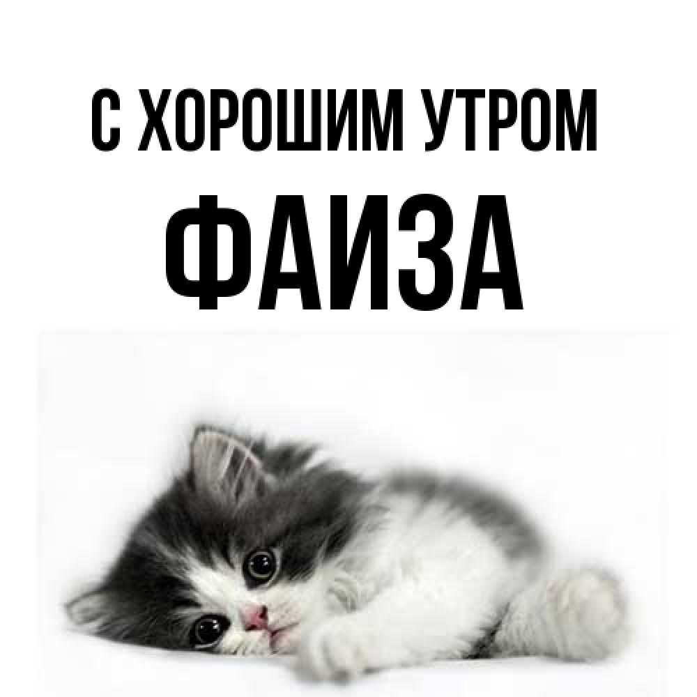 Открытка на каждый день с именем, Фаиза С хорошим утром кот лапки Прикольная открытка с пожеланием онлайн скачать бесплатно 