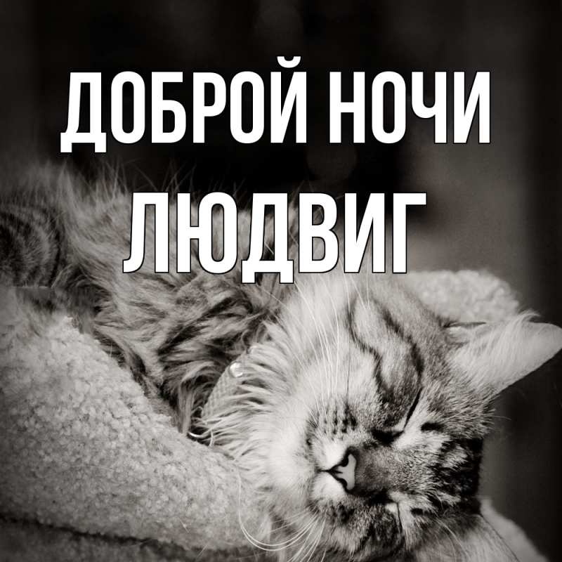 Открытка с именем, Людвиг, Доброй ночи