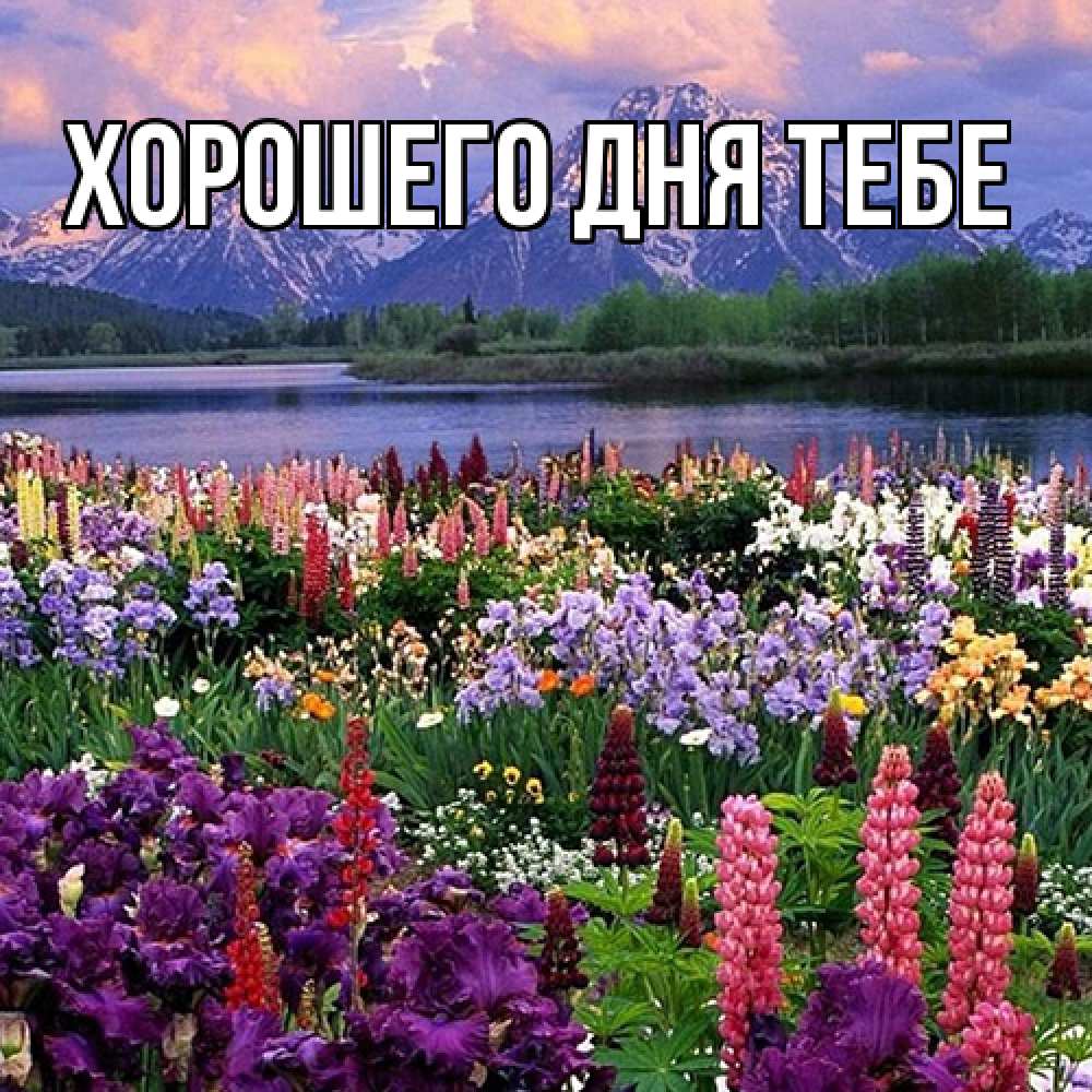 Открытка на каждый день с именем, Гастон Люблю тебя международный женский день Прикольная открытка с пожеланием онлайн скачать бесплатно 