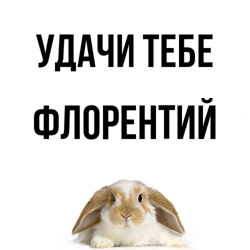 Открытка на каждый день с именем, Флорентий Удачи тебе открытки с произвольным текстом который можно вставить в открытку и создать ее самостоятельно бесплатно онлайн Прикольная открытка с пожеланием онлайн скачать бесплатно 