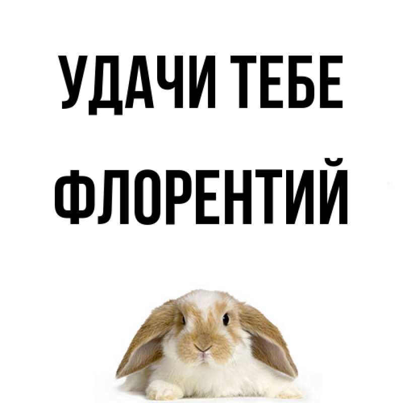 Картинка Удачи тебе, Флорентий