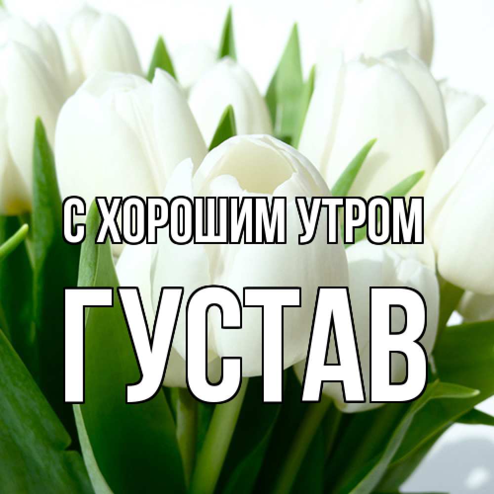 Открытка на каждый день с именем, Густав С хорошим утром открытки на каждый день по именам Прикольная открытка с пожеланием онлайн скачать бесплатно 