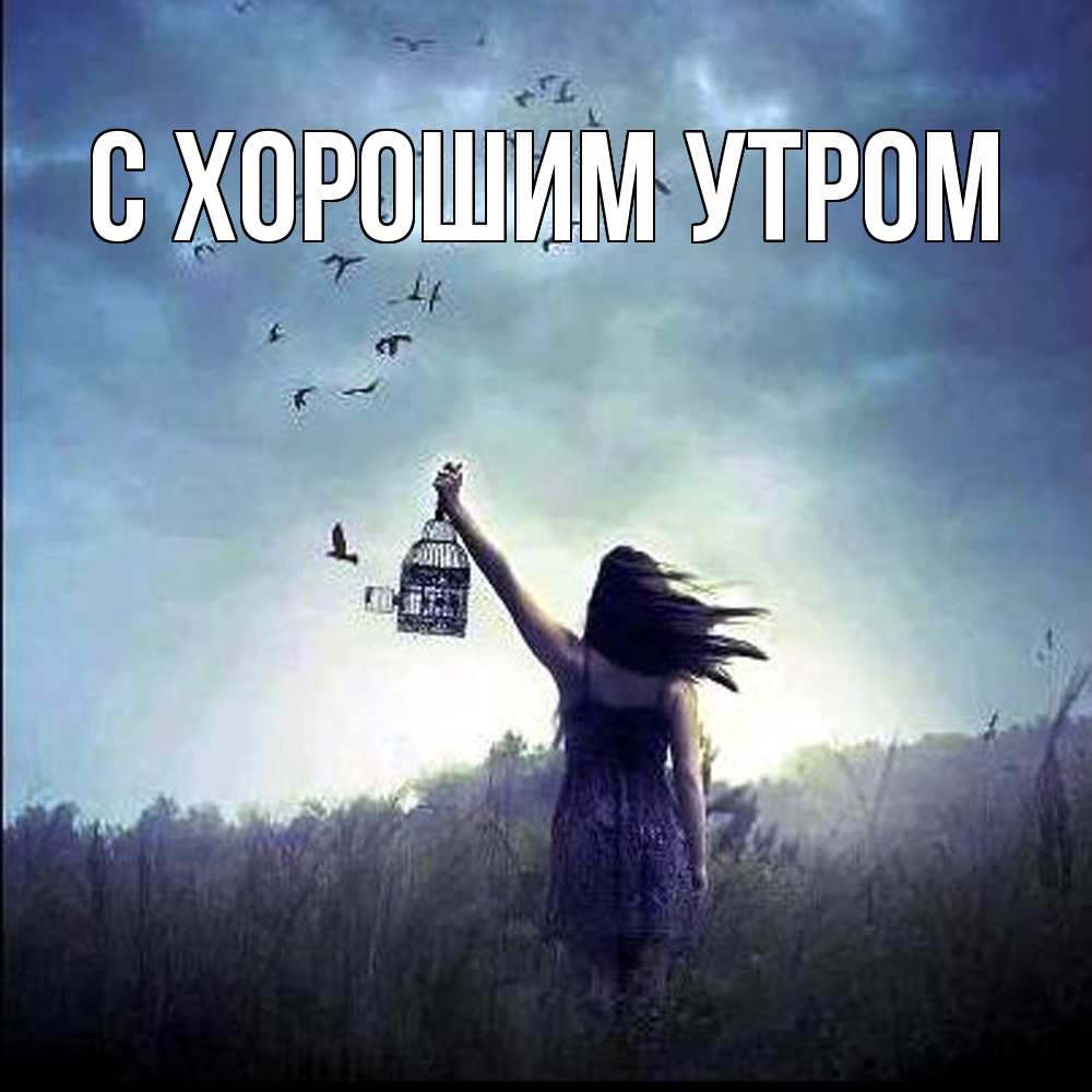 Открытка на каждый день с именем, Трифон Скучашки приходи ко мне Прикольная открытка с пожеланием онлайн скачать бесплатно 