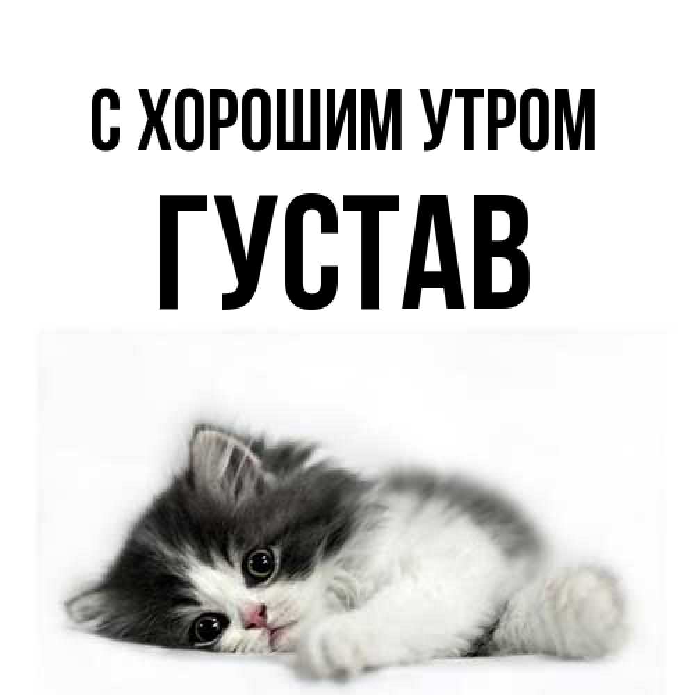 Открытка на каждый день с именем, Густав С хорошим утром кот лапки Прикольная открытка с пожеланием онлайн скачать бесплатно 