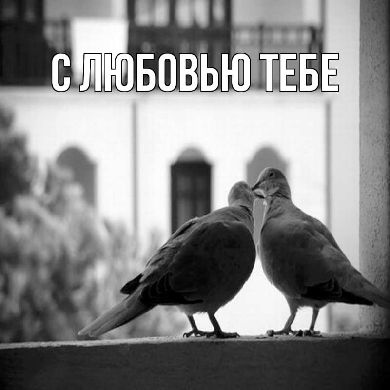 Картинка Обнимашки, Лёня