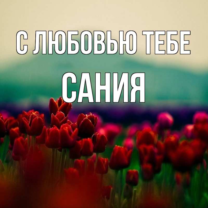 Открытка с именем, Сания, С любовью тебе