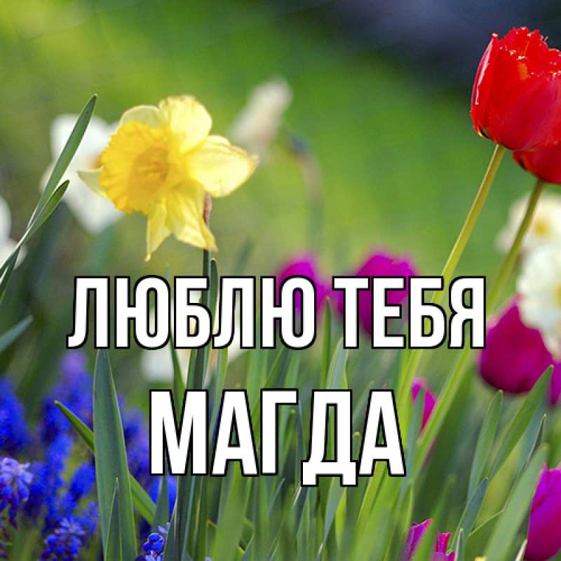 Картинка Люблю тебя, Магда