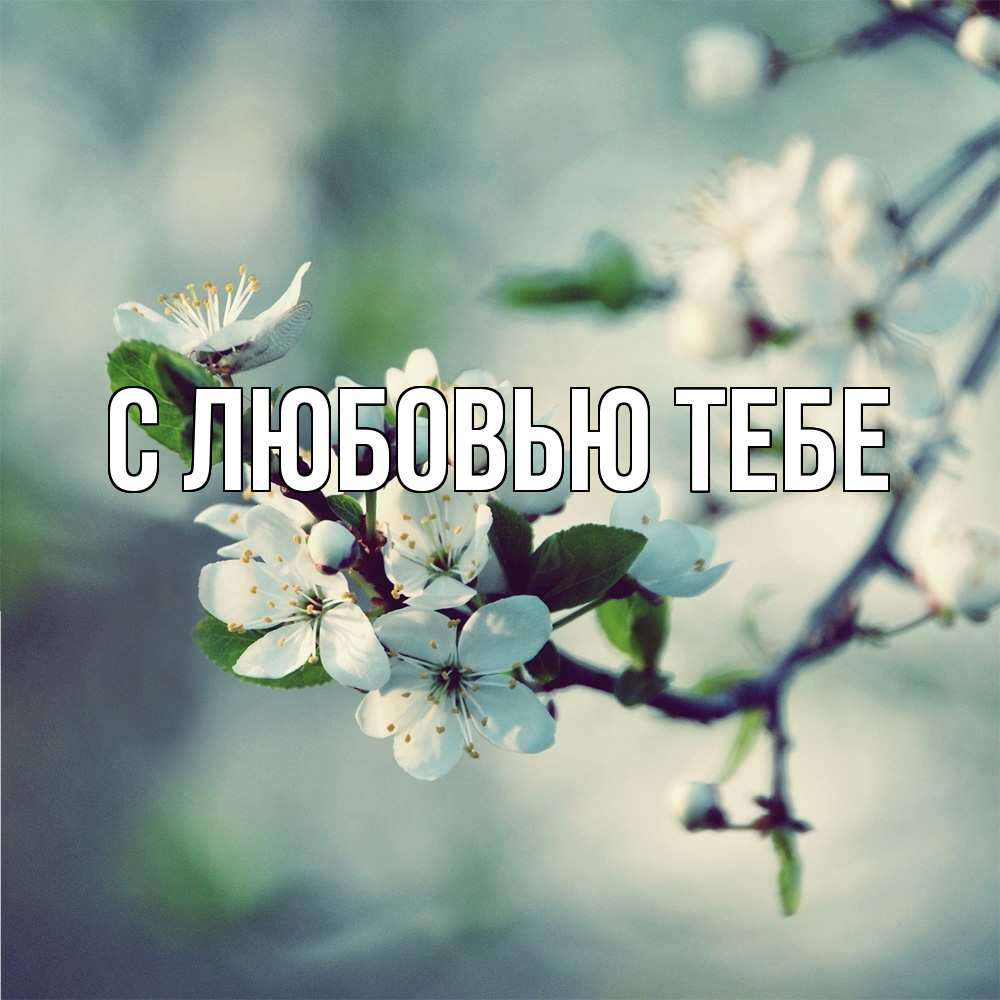 Открытка на каждый день с именем, Савва Скучашки весна Прикольная открытка с пожеланием онлайн скачать бесплатно 