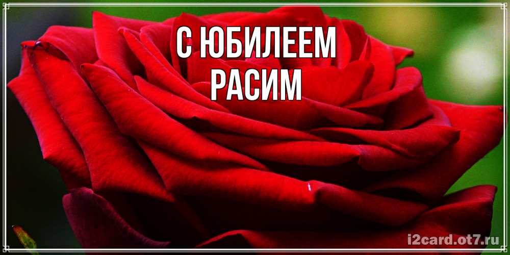 Открытка на каждый день с именем, Расим C юбилеем розочка очень красивая Прикольная открытка с пожеланием онлайн скачать бесплатно 