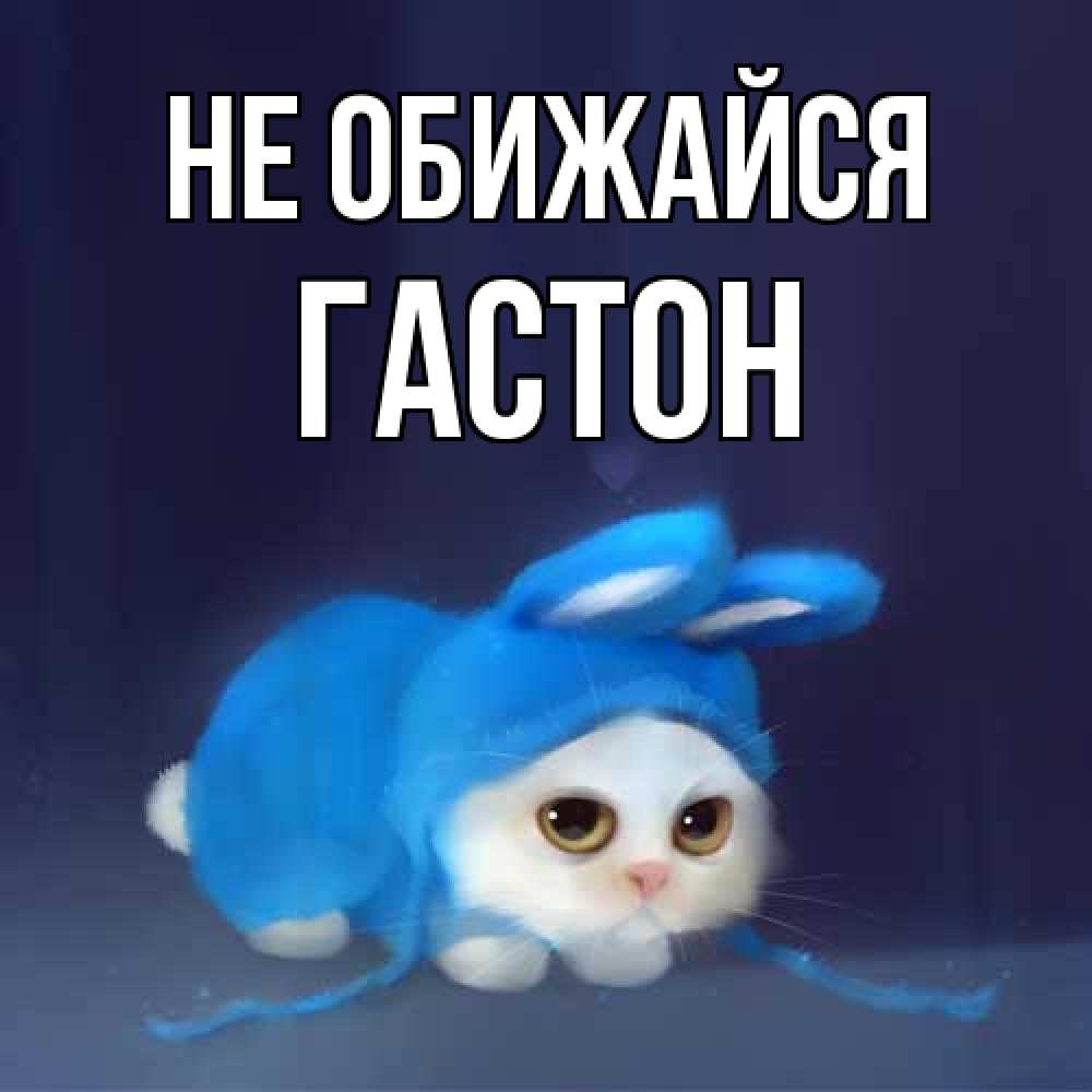 Открытка на каждый день с именем, Гастон Не обижайся невинный котозай просит прощения Прикольная открытка с пожеланием онлайн скачать бесплатно 