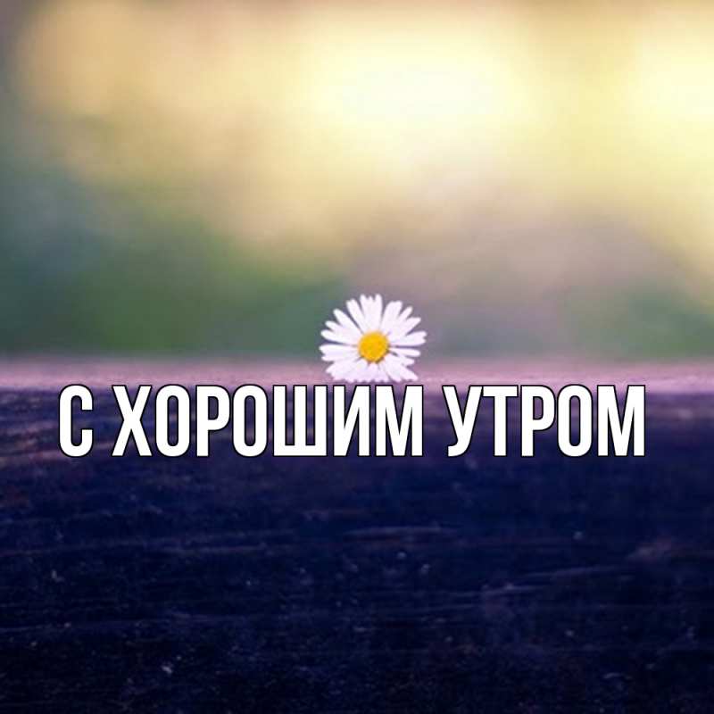 Картинка Скучашки, Катюша