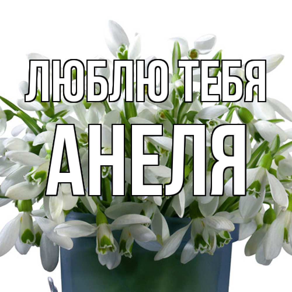 Открытка на каждый день с именем, Анеля Люблю тебя цветы к международному женскому дню Прикольная открытка с пожеланием онлайн скачать бесплатно 