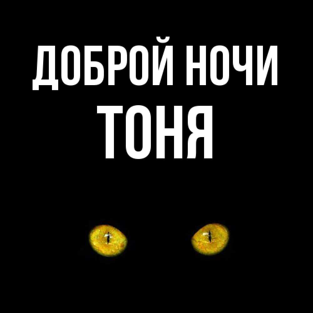 Открытка на каждый день с именем, Тоня Доброй ночи сладких снов бесстрашный мой дружочек Прикольная открытка с пожеланием онлайн скачать бесплатно 