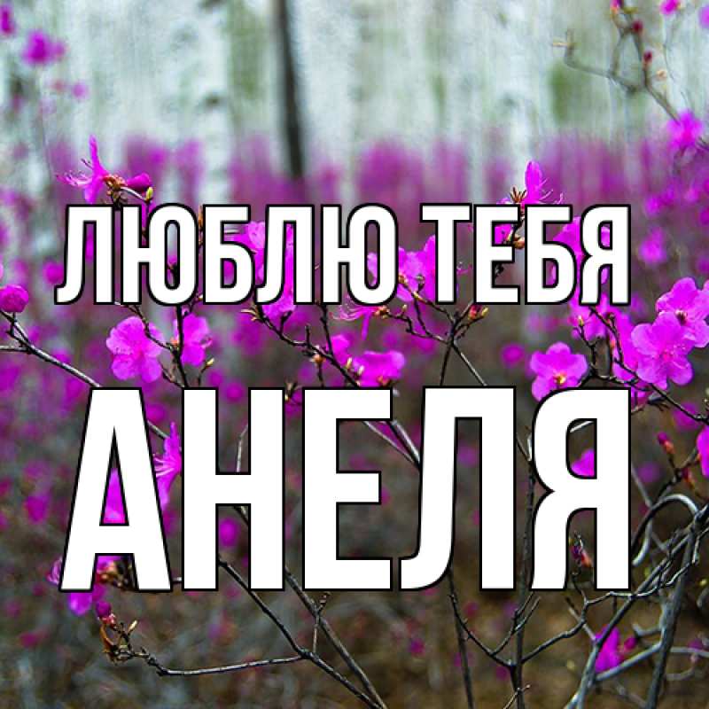 Картинка Люблю тебя, Анеля