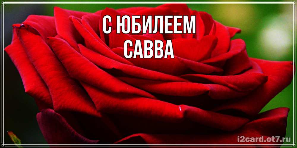 Открытка на каждый день с именем, Савва C юбилеем розочка очень красивая Прикольная открытка с пожеланием онлайн скачать бесплатно 
