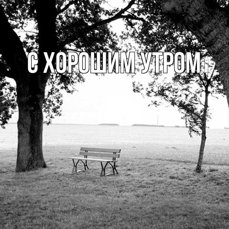 Картинка Скучашки, Трифон