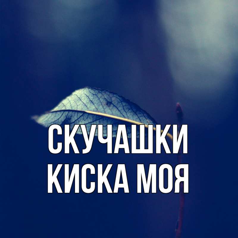 Картинка Скучашки, Киска моя